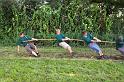 Tug of War1